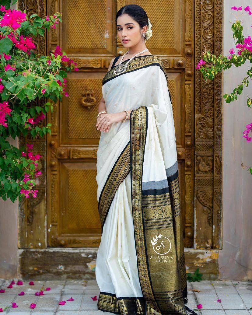 Women Woven Saree with Contrast Border